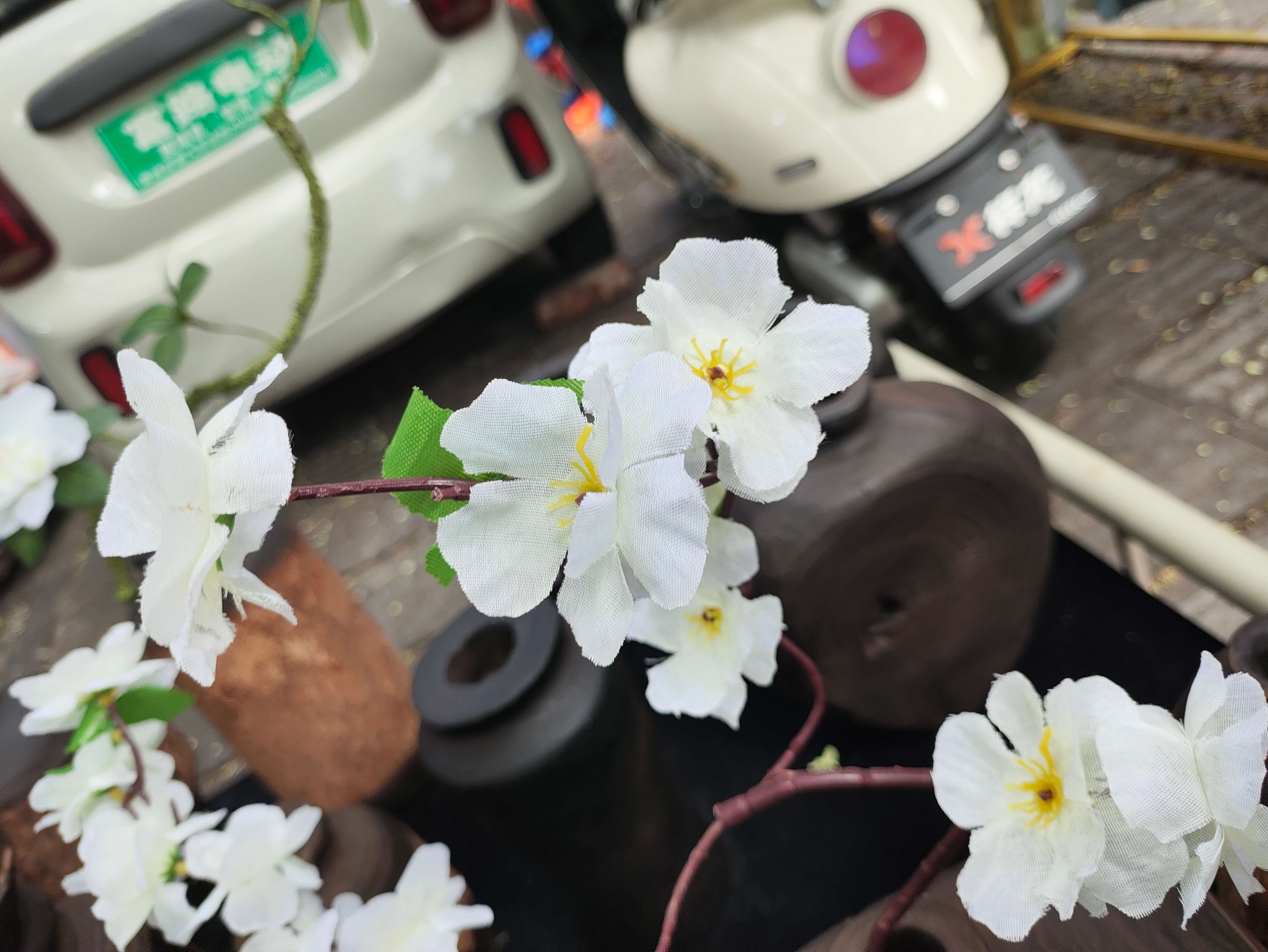 2025-8-3青州古城假花